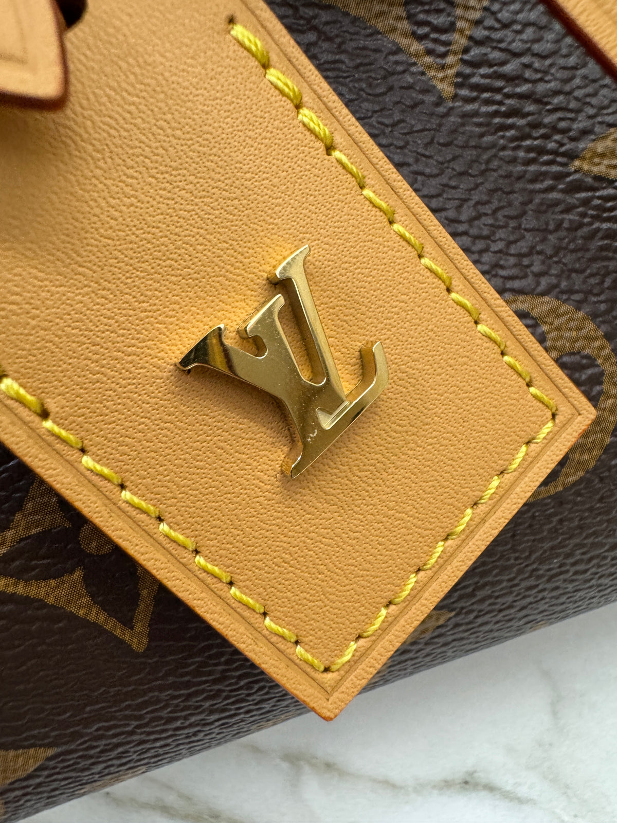 LV Nano Carryall