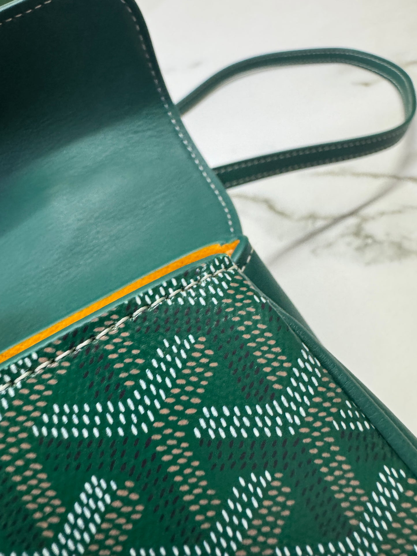 GOYARD Soft Saigon Souple Mini Green