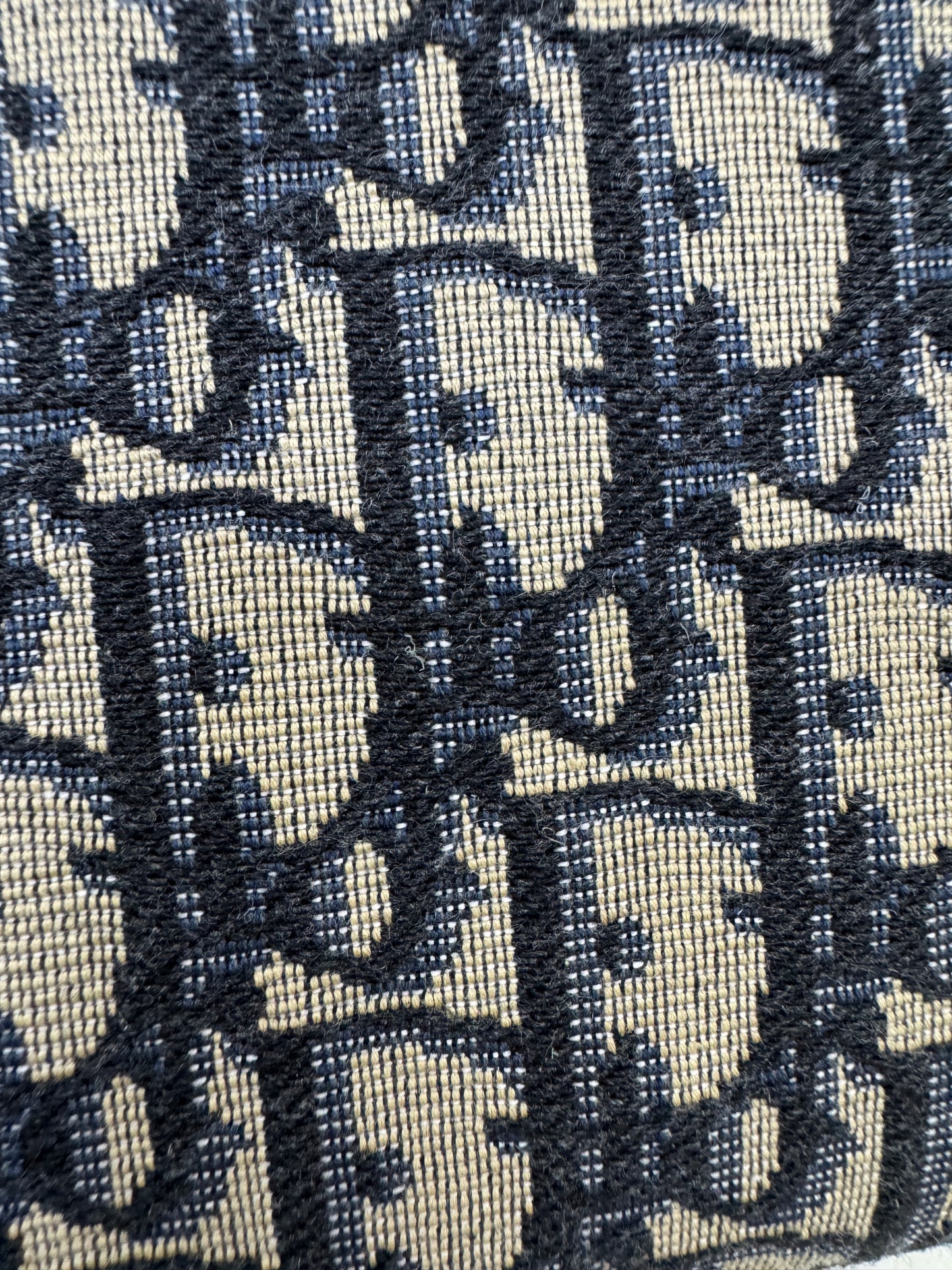 DIOR Zipped Pouch with Strap