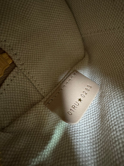 DIOR Groove Mini 奶茶色老花