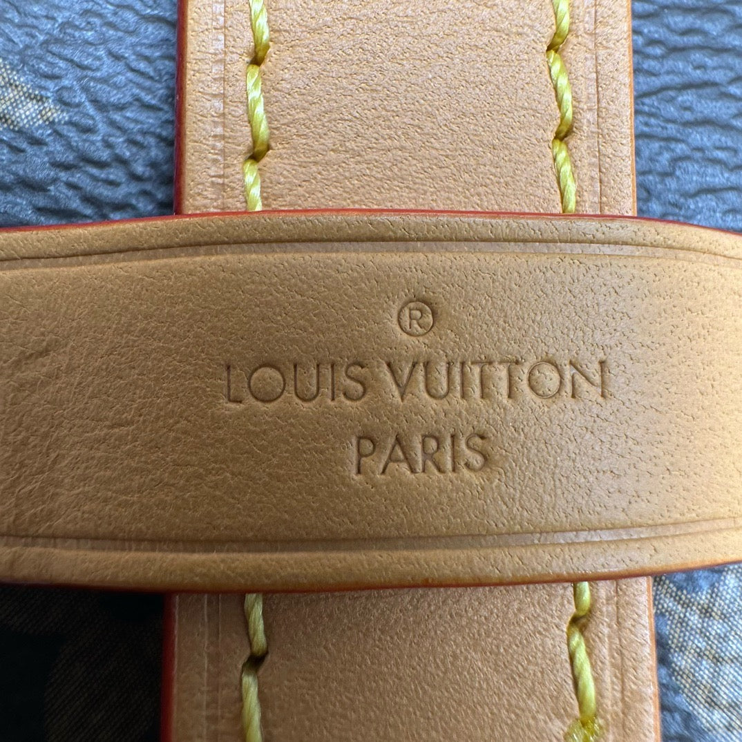 LV Carryall PM 老花小號