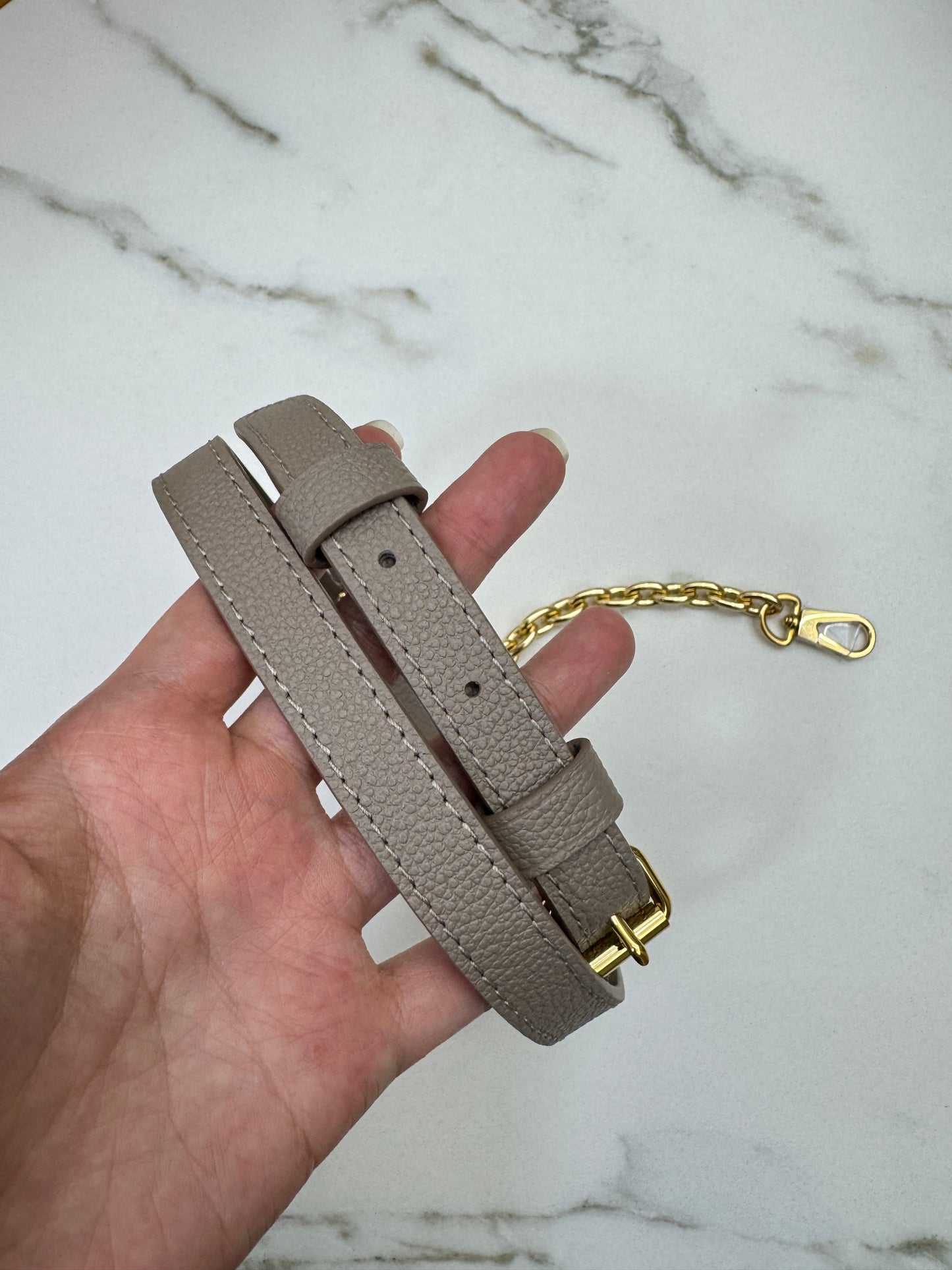LV Speedy 20 大象灰 M46575