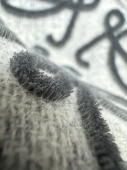 LOEWE Scarf 淺灰 3D Logo 180cm