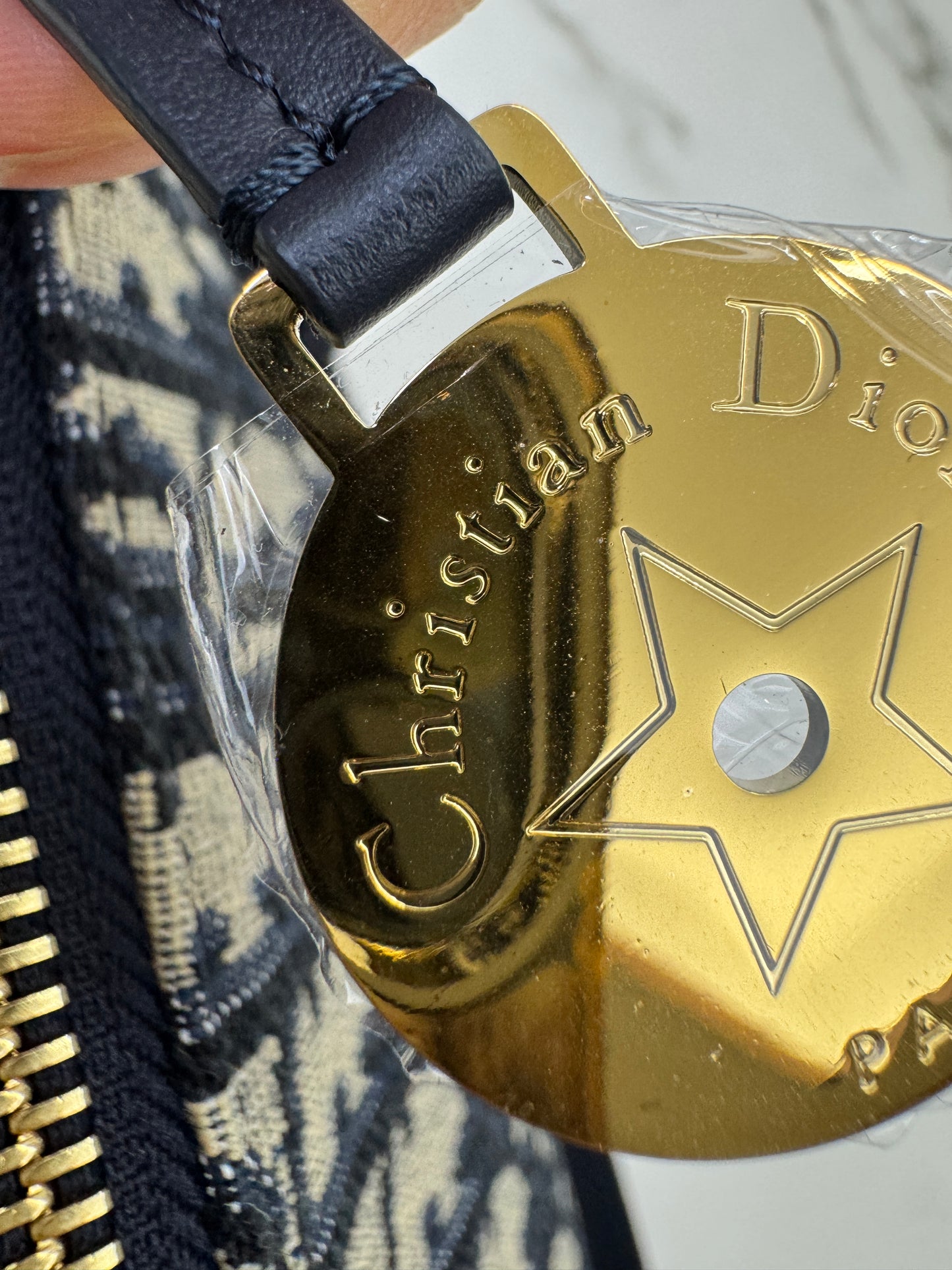 DIOR Diorstar Hobo 半月飯盒包