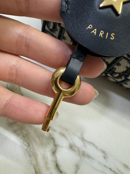 DIOR Groove 20cm 小號