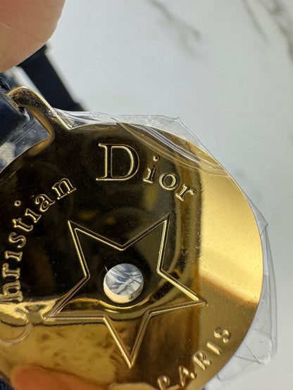 DIOR Diorstar Hobo 半月飯盒包