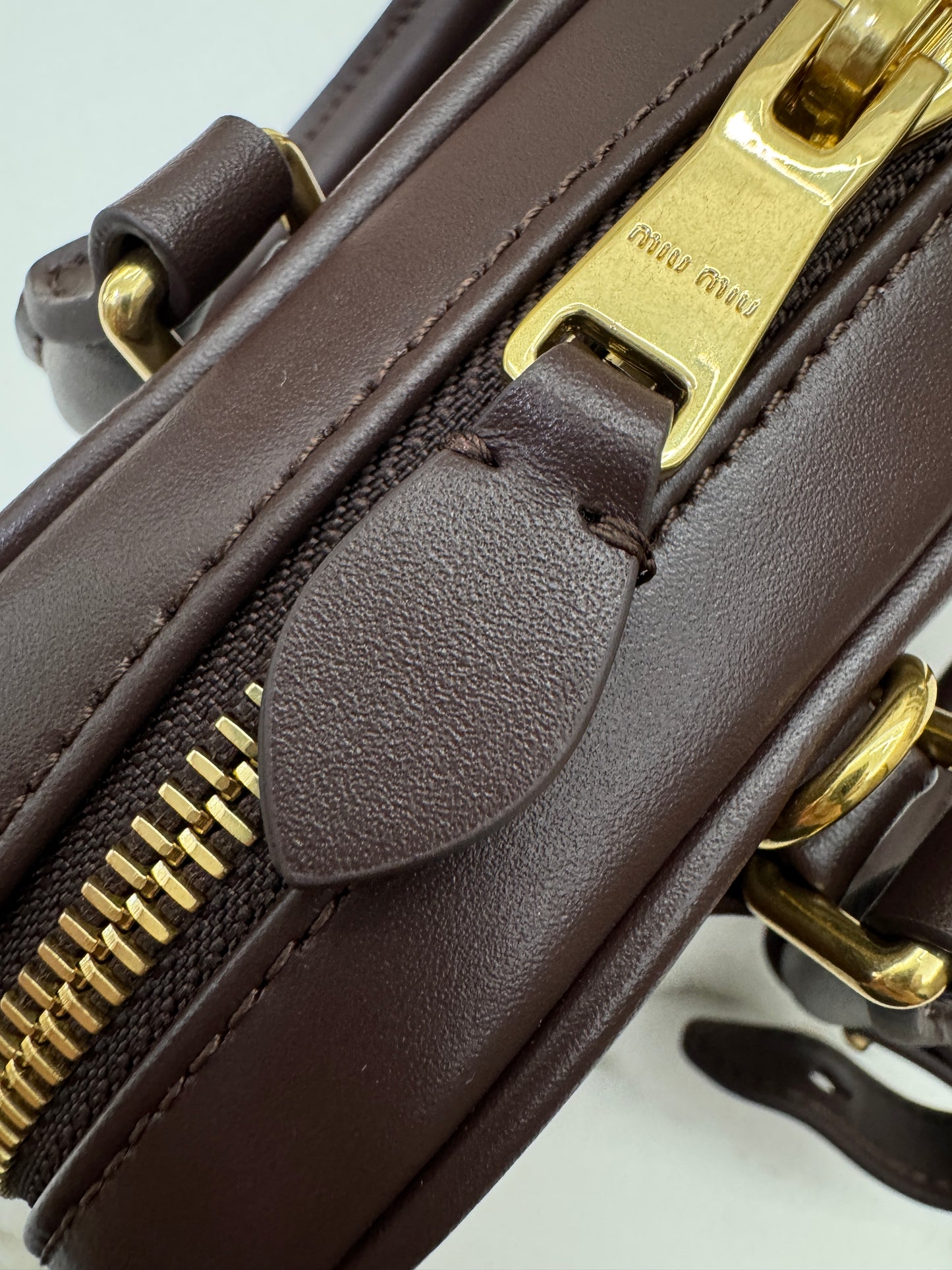 MIU MIU Acardie Regular 石楠木色
