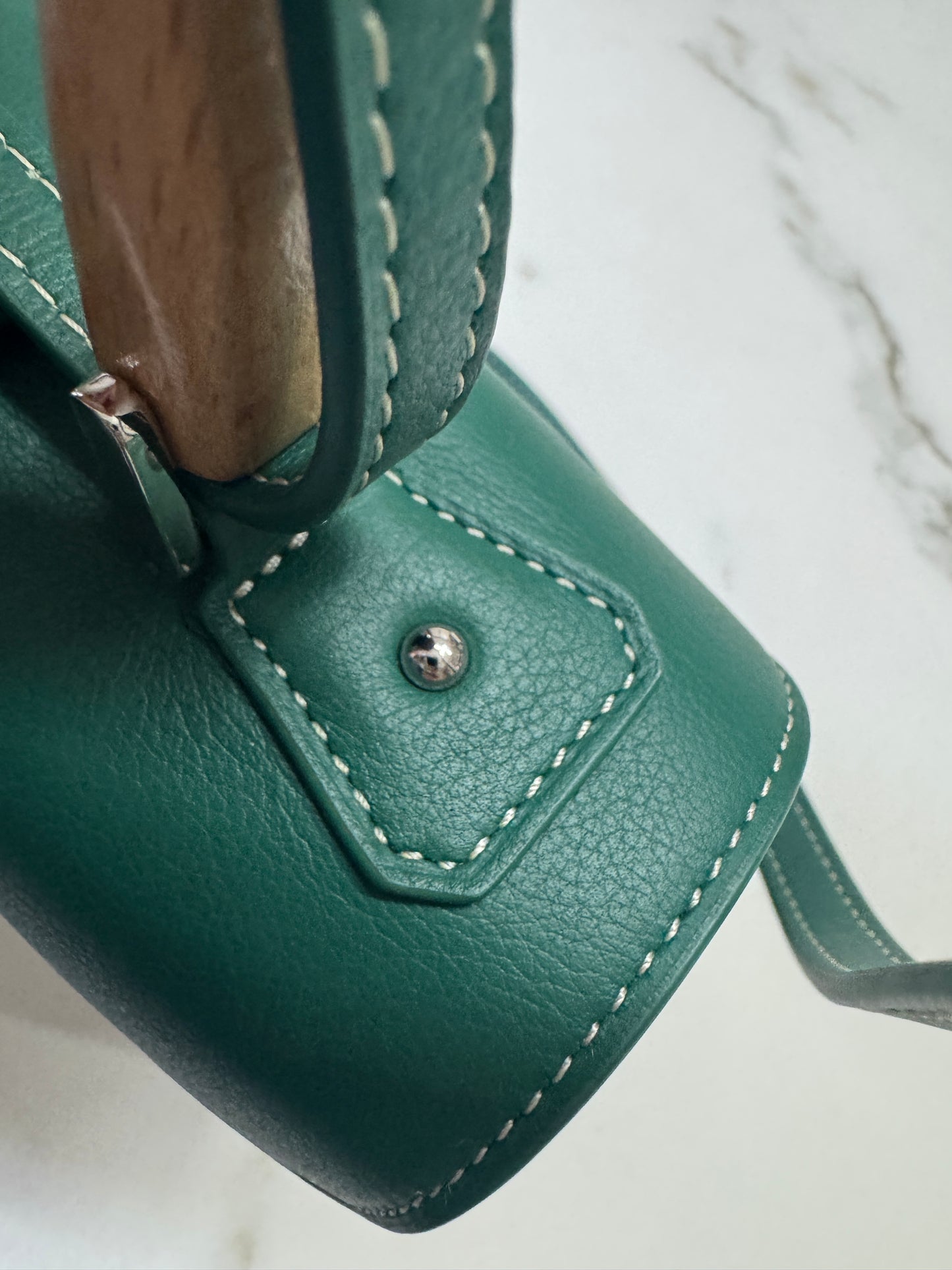 GOYARD Soft Saigon Souple Mini Green