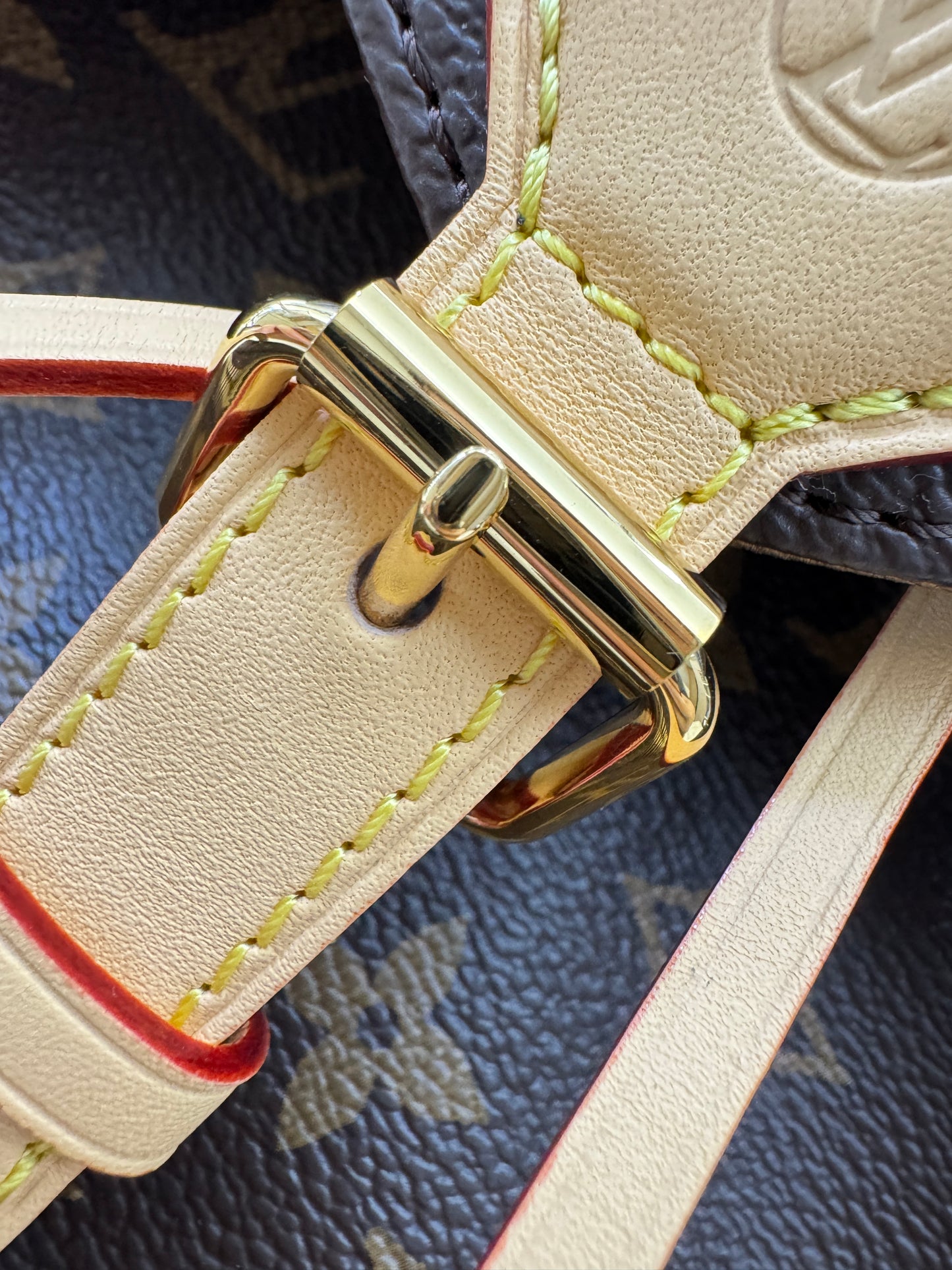 LV Montsouris Monogram PM