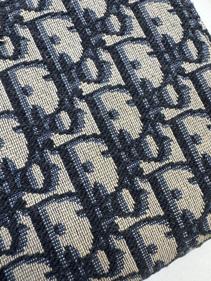 DIOR Zipped Pouch with Strap