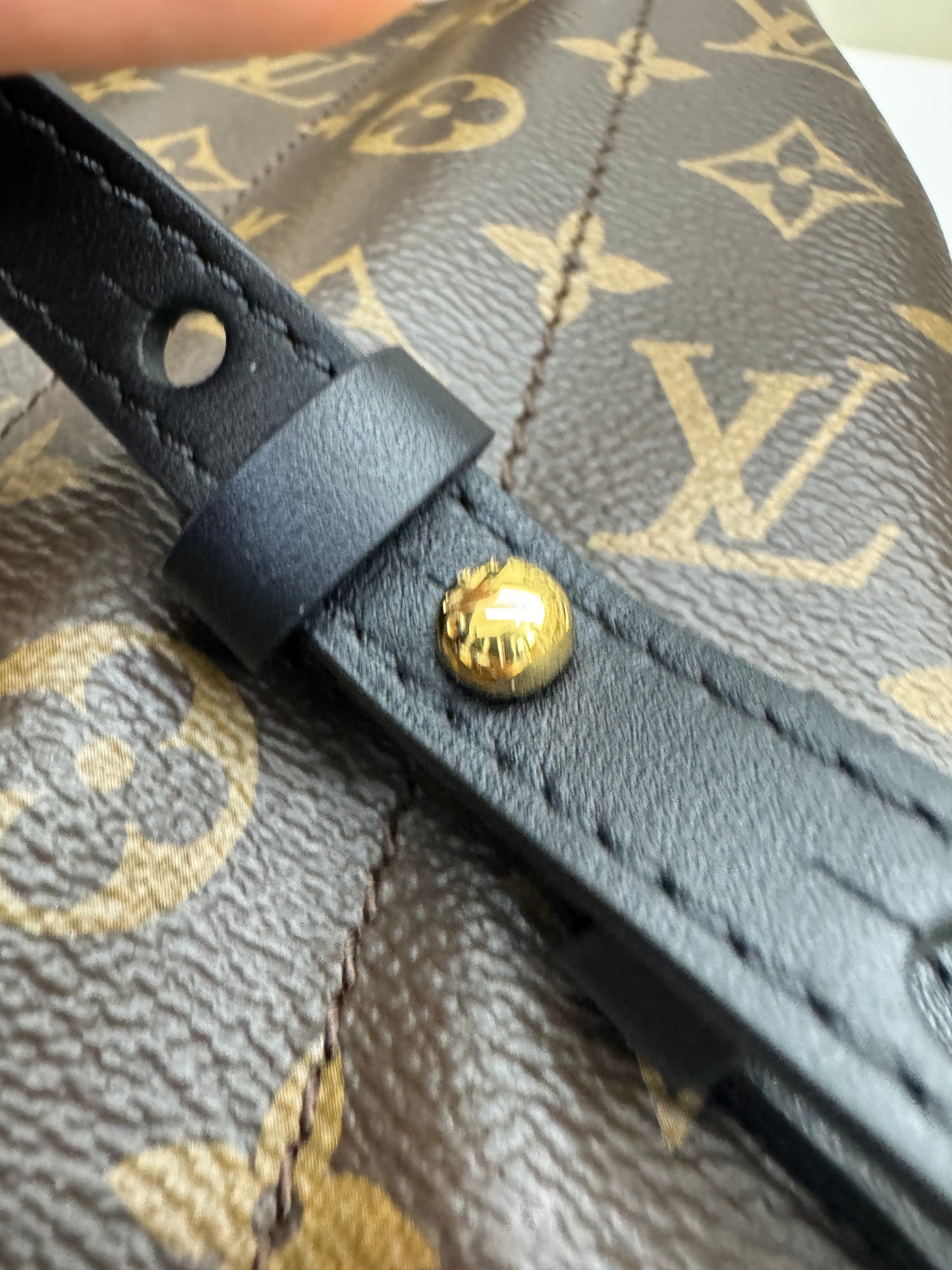 LV Palm Spring Backpack MM