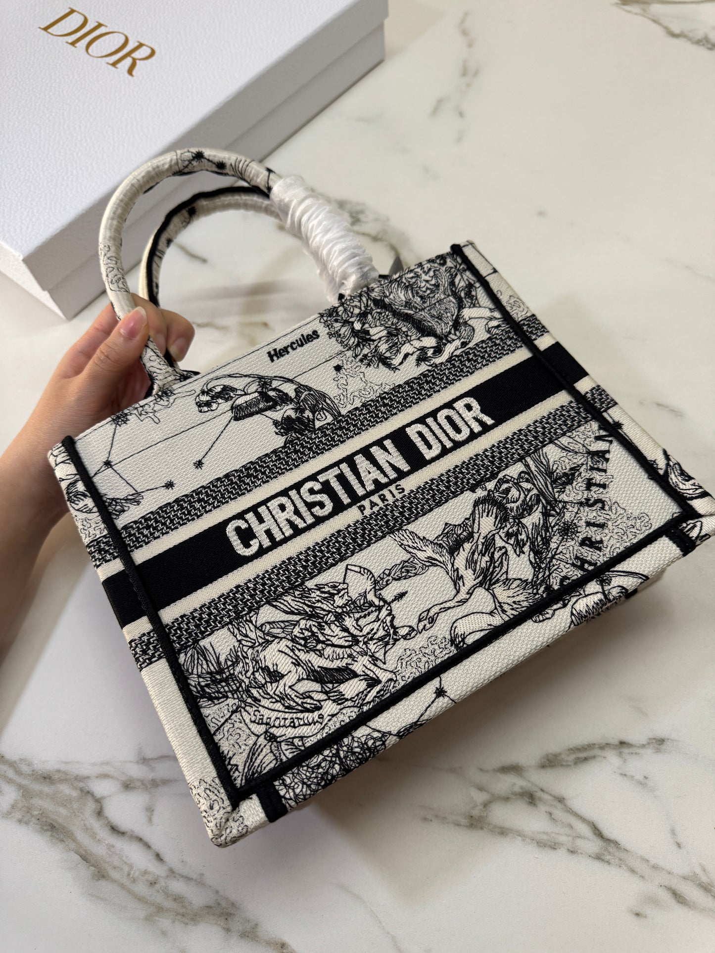 DIOR Book Tote Small 星座系列