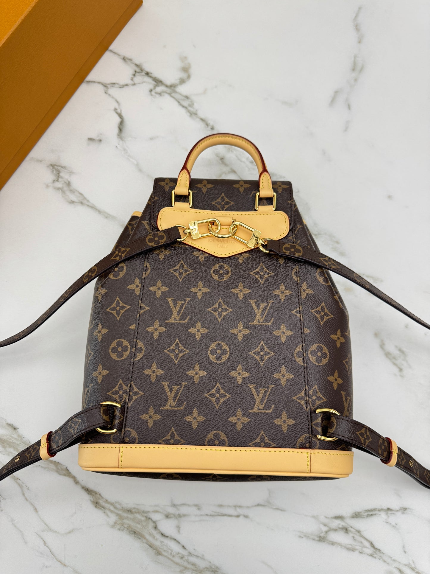 LV Montsouris Monogram PM
