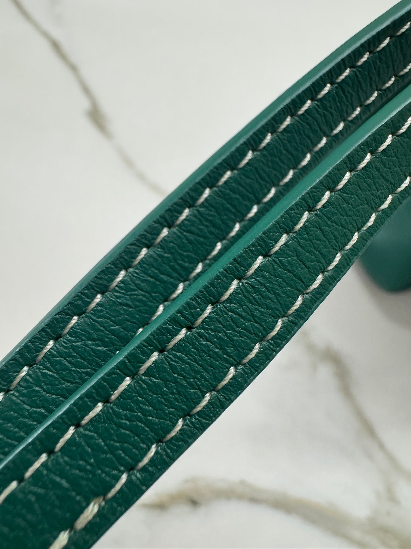 GOYARD Soft Saigon Souple Mini Green