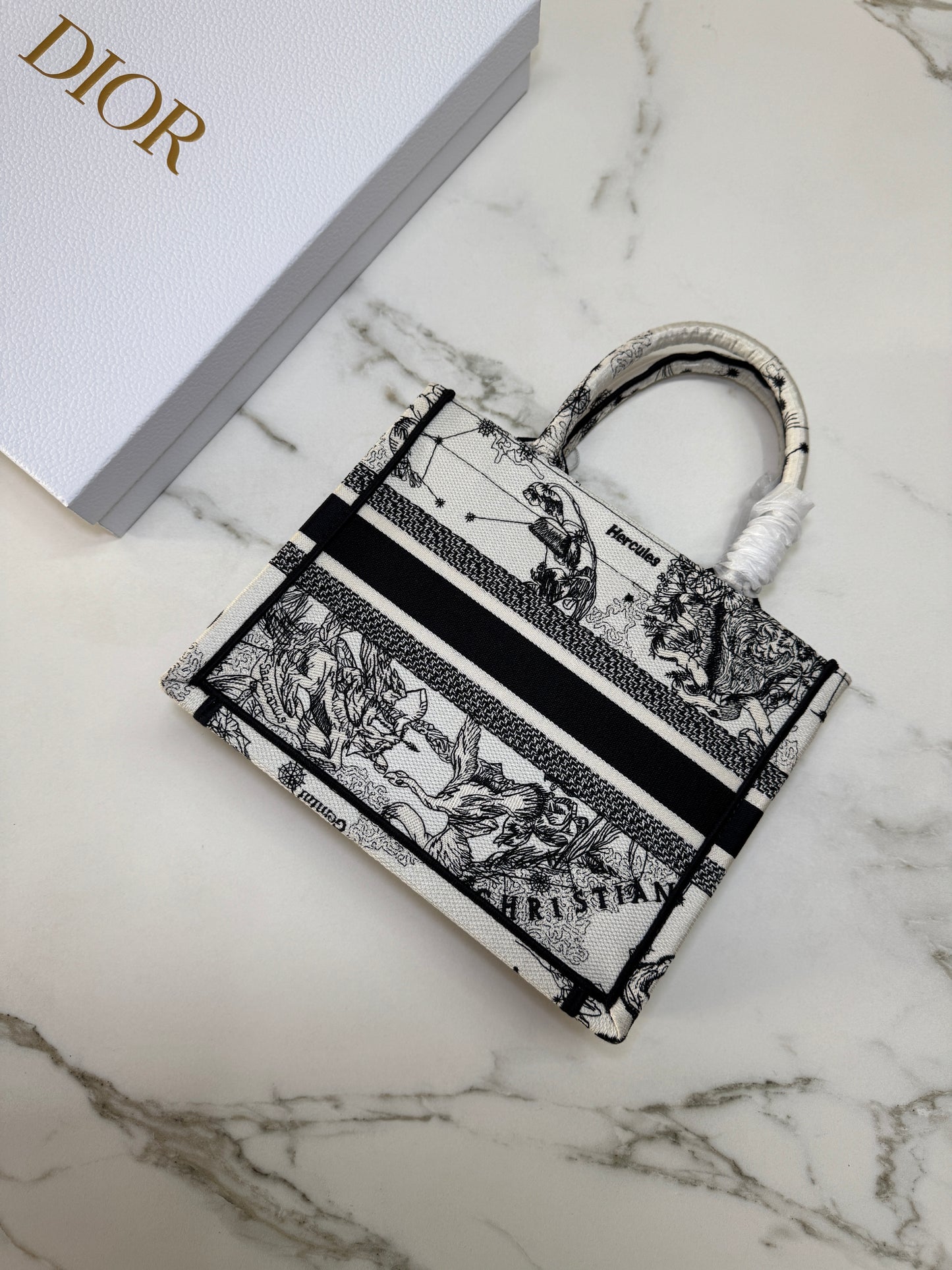 DIOR Book Tote Small 星座系列