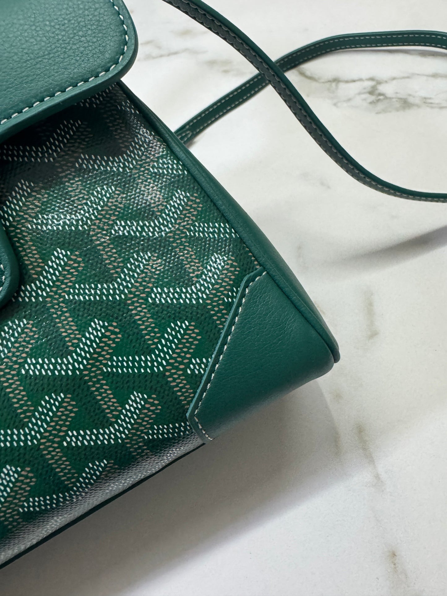 GOYARD Soft Saigon Souple Mini Green