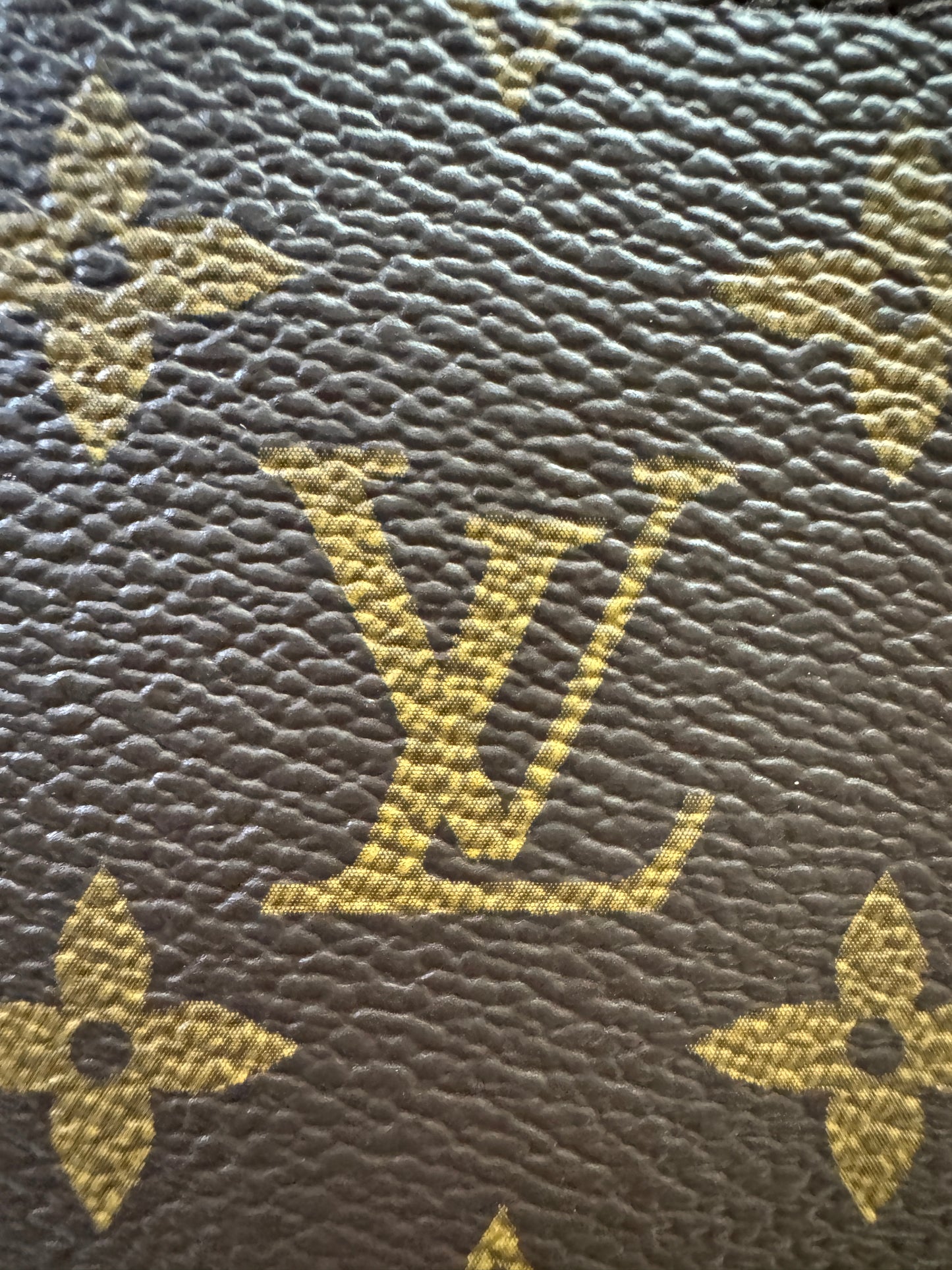 LV Carryall 大號 黑色羊皮