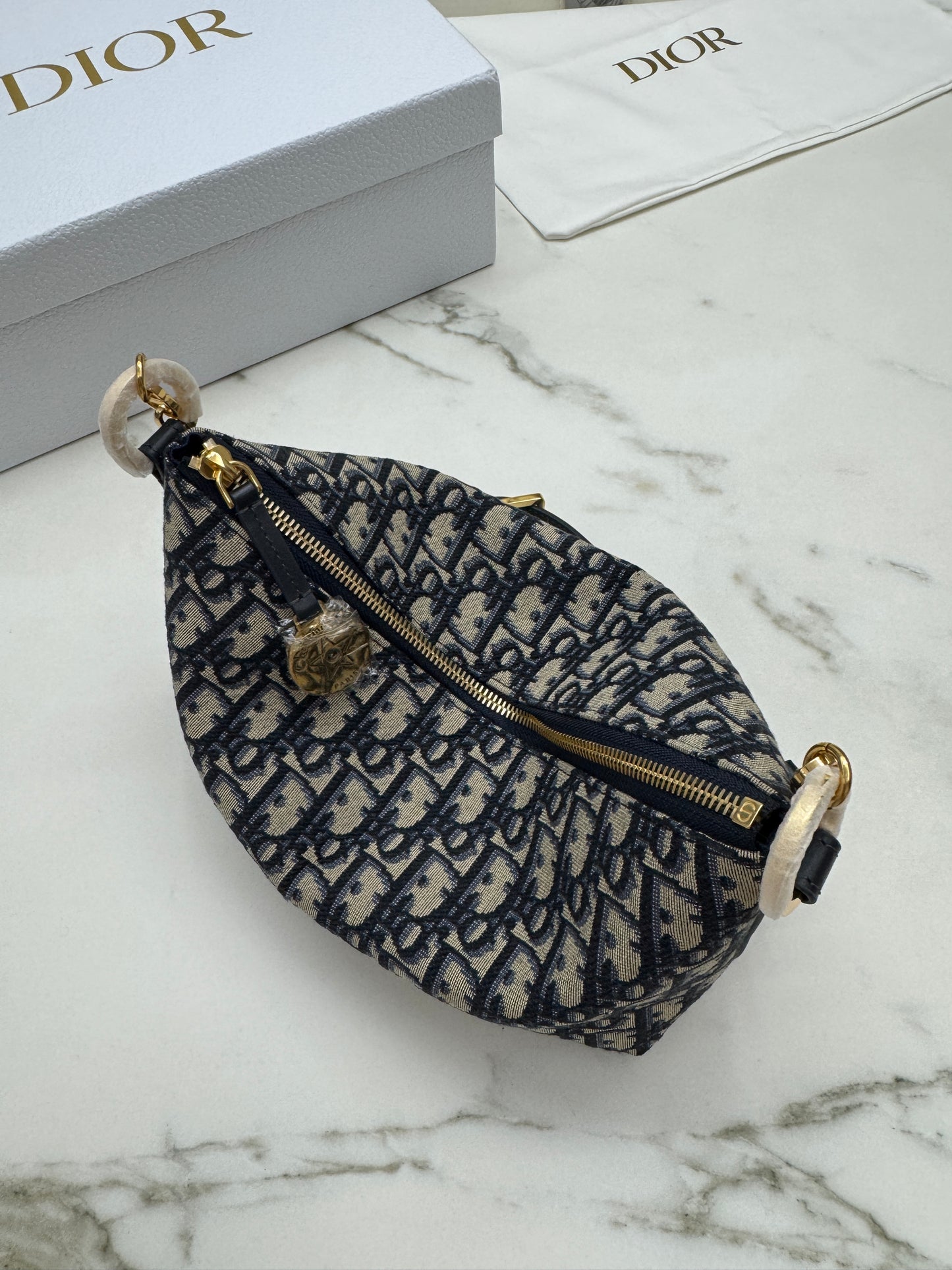 DIOR Diorstar Hobo 飯盒包