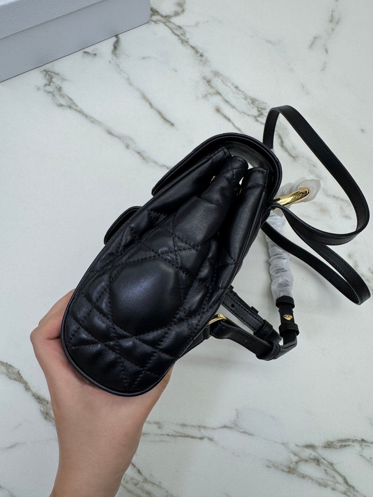 DIOR Caro Backpack Small