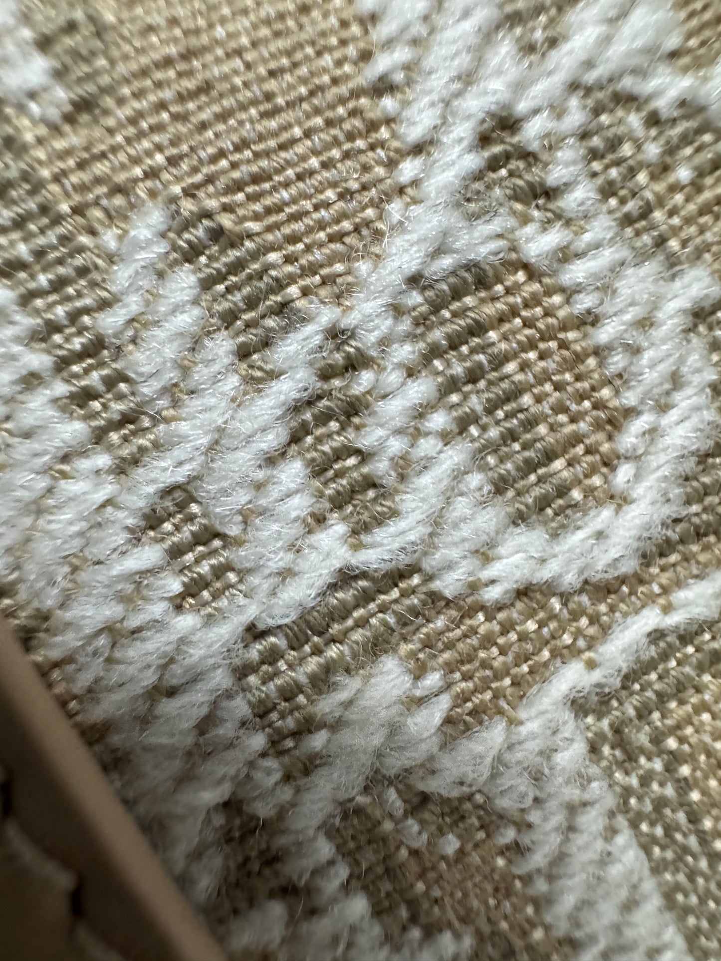 DIOR Groove Mini 奶茶色老花