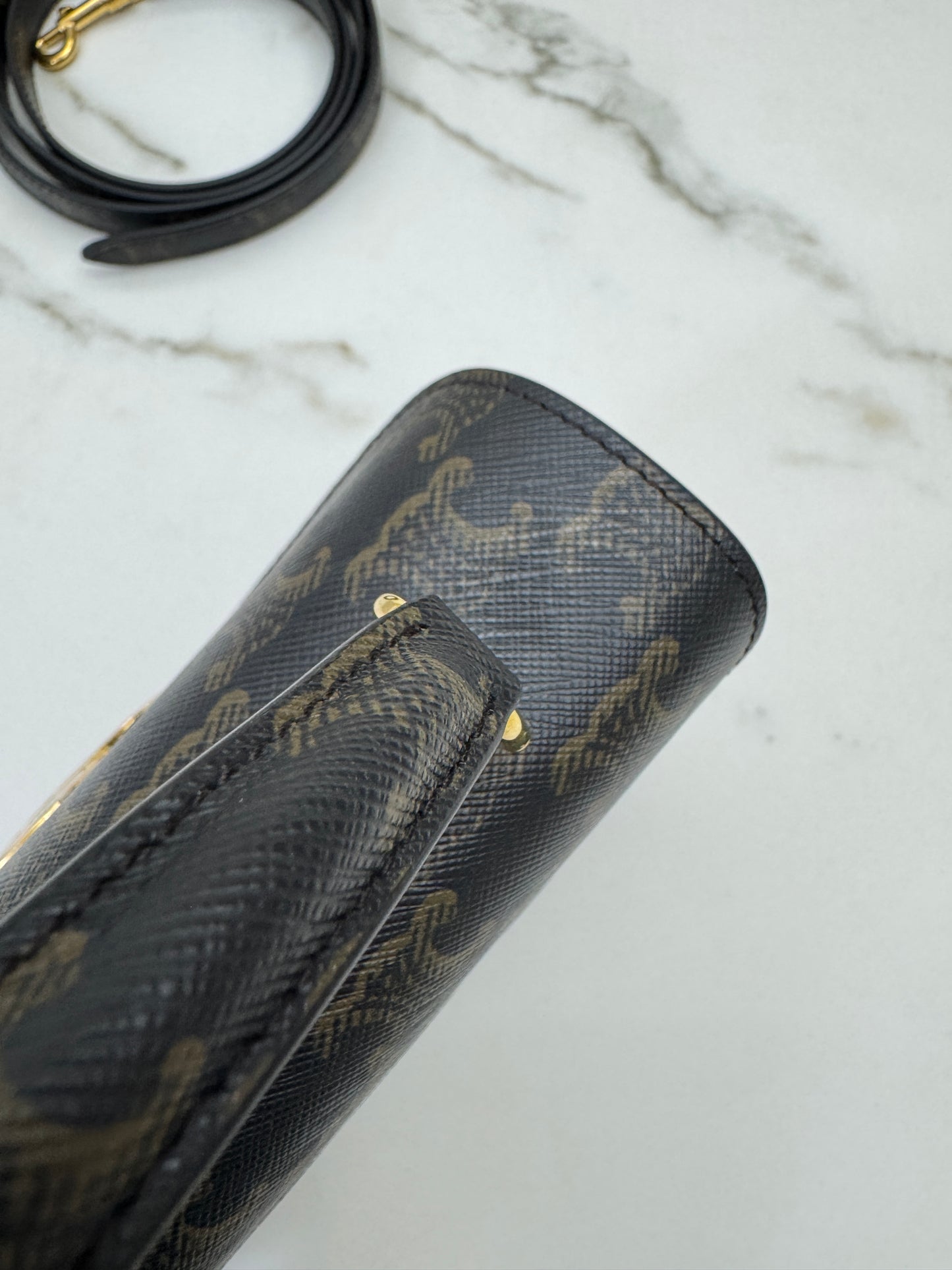 CELINE Teen Nino 老花