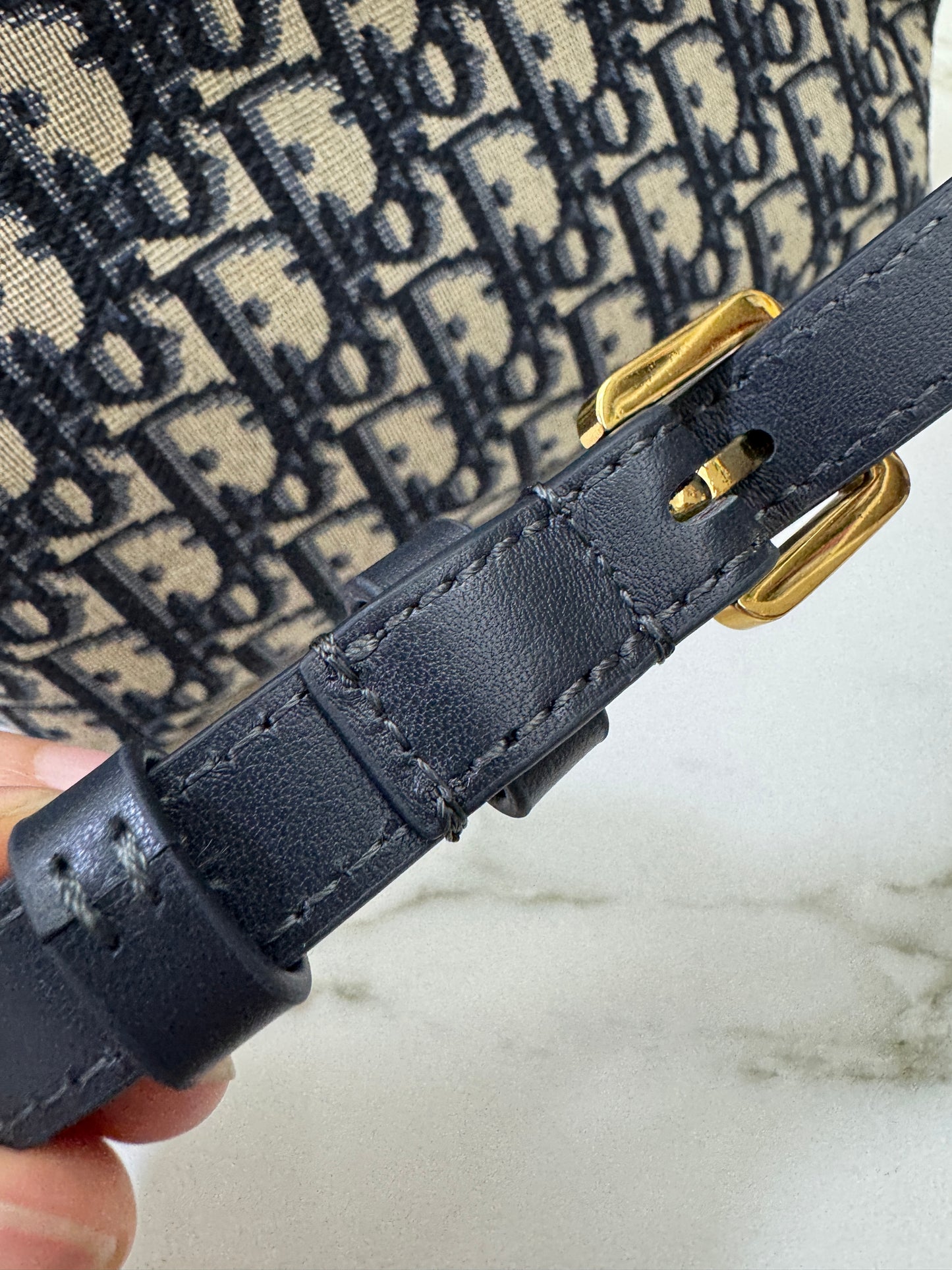 DIOR Diorstar Hobo 飯盒包