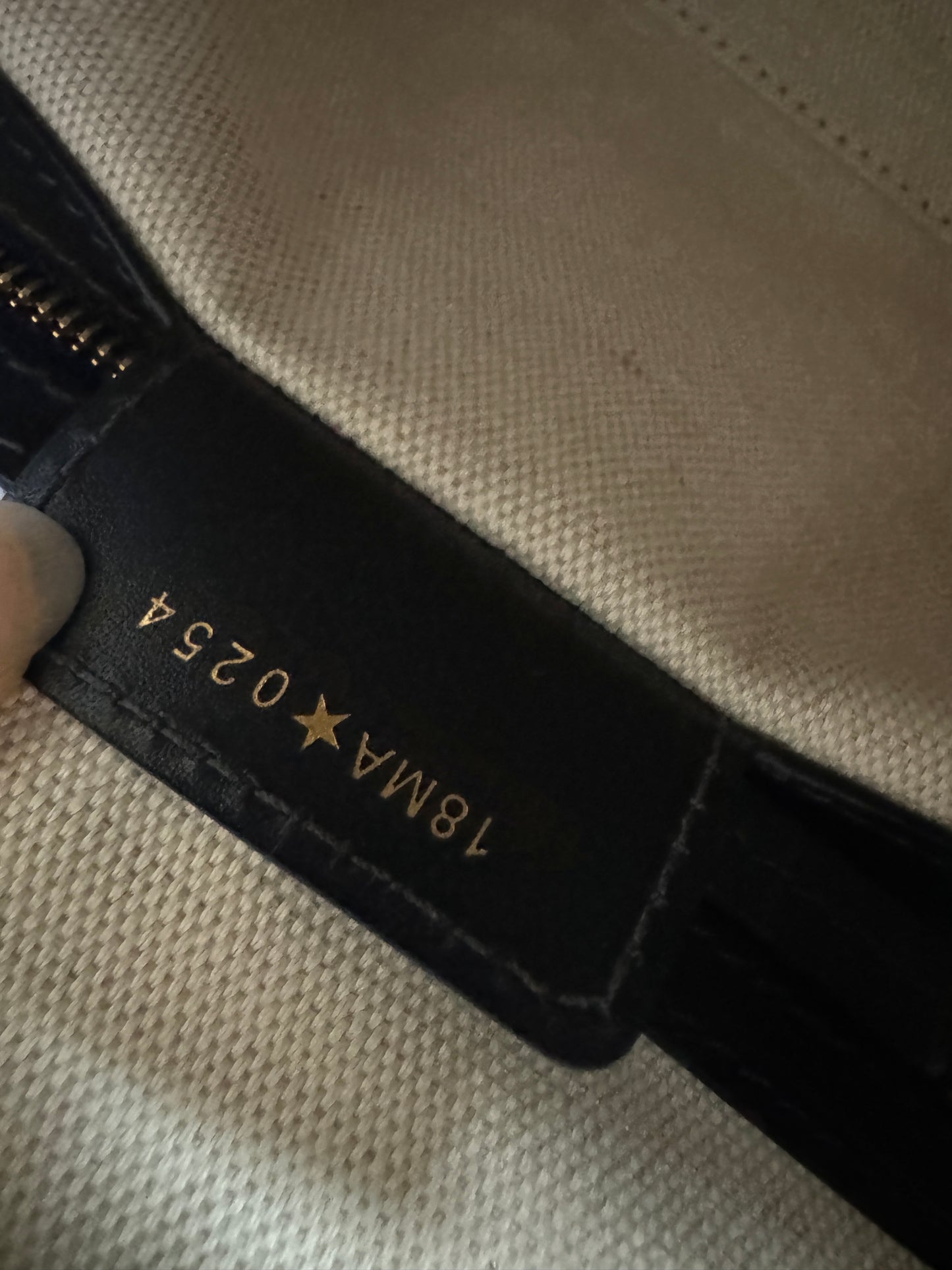 DIOR Groove 20cm 小號