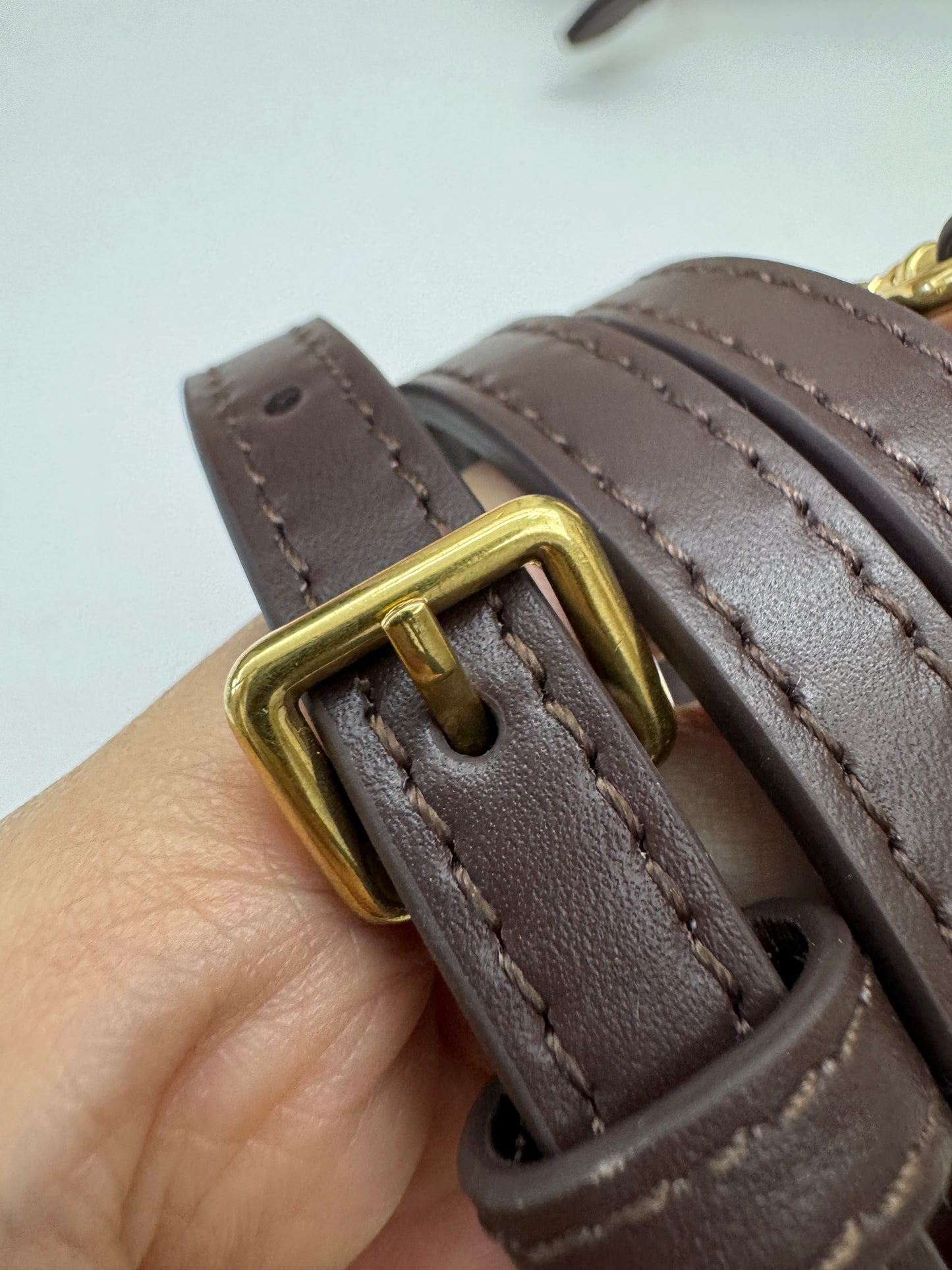 MIU MIU Acardie Regular 石楠木色