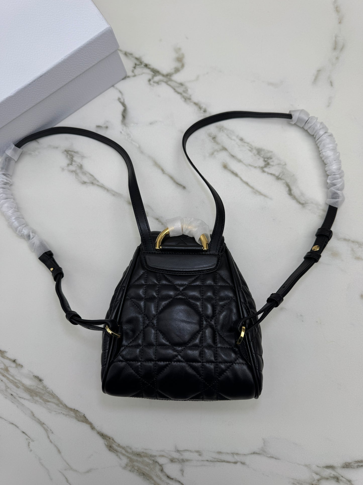 DIOR Caro Backpack Small