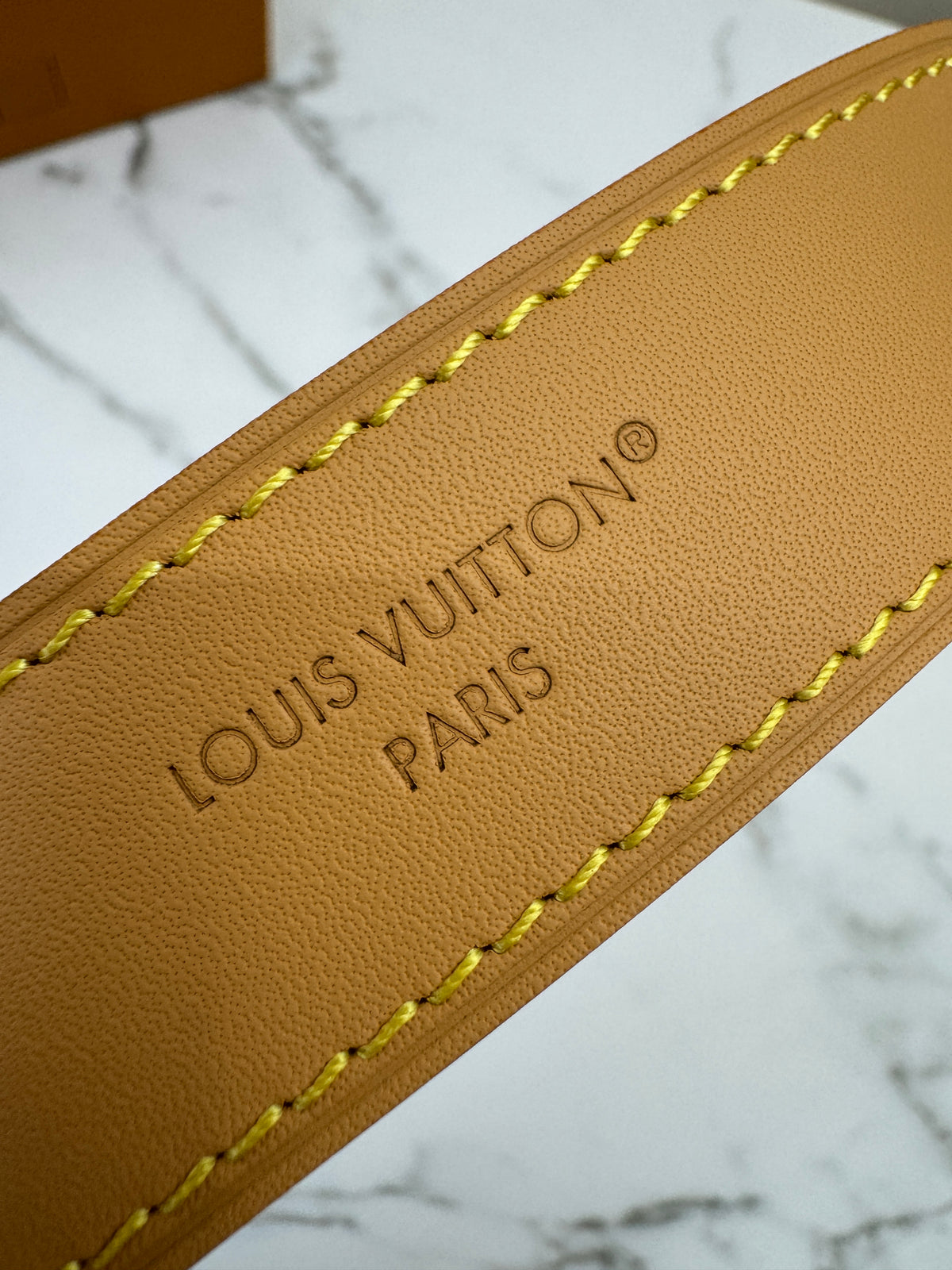 LV Nano Carryall