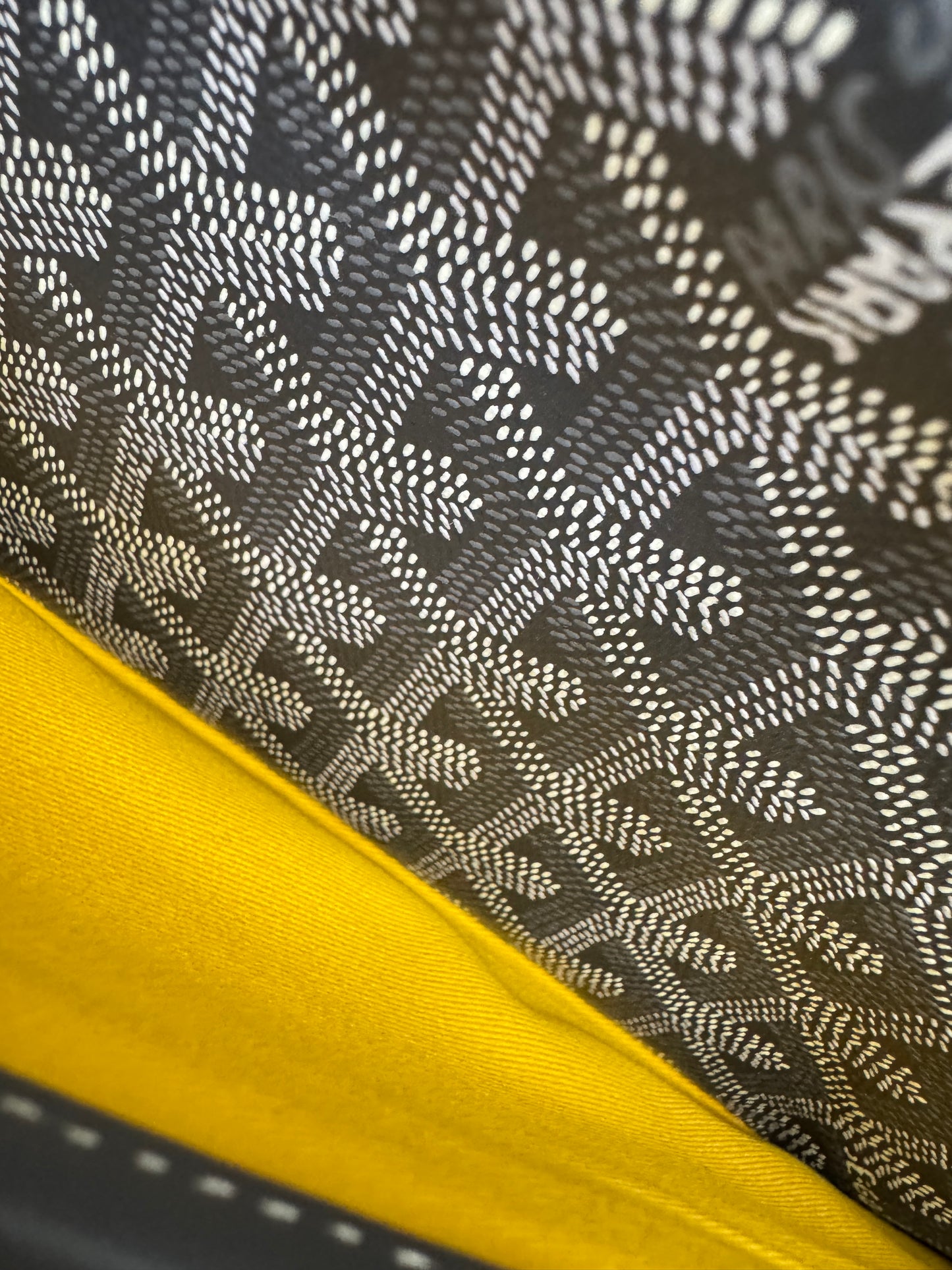 GOYARD Cap-vert 相機包灰色