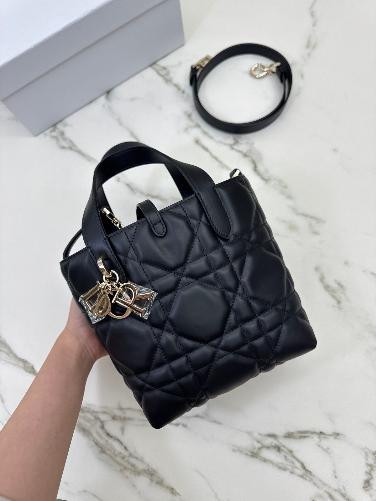 DIOR Toujours Vertical Small Black