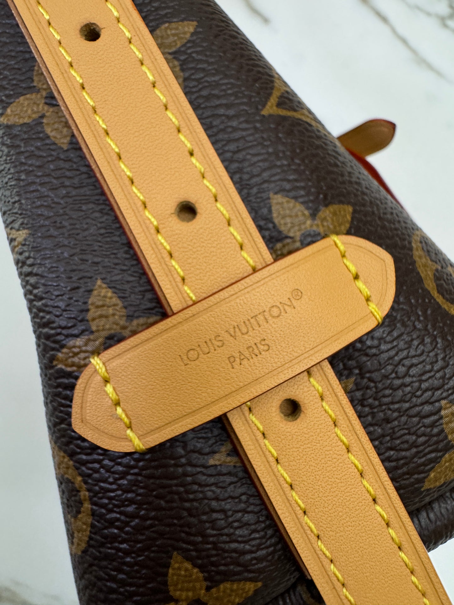 LV Nano Carryall