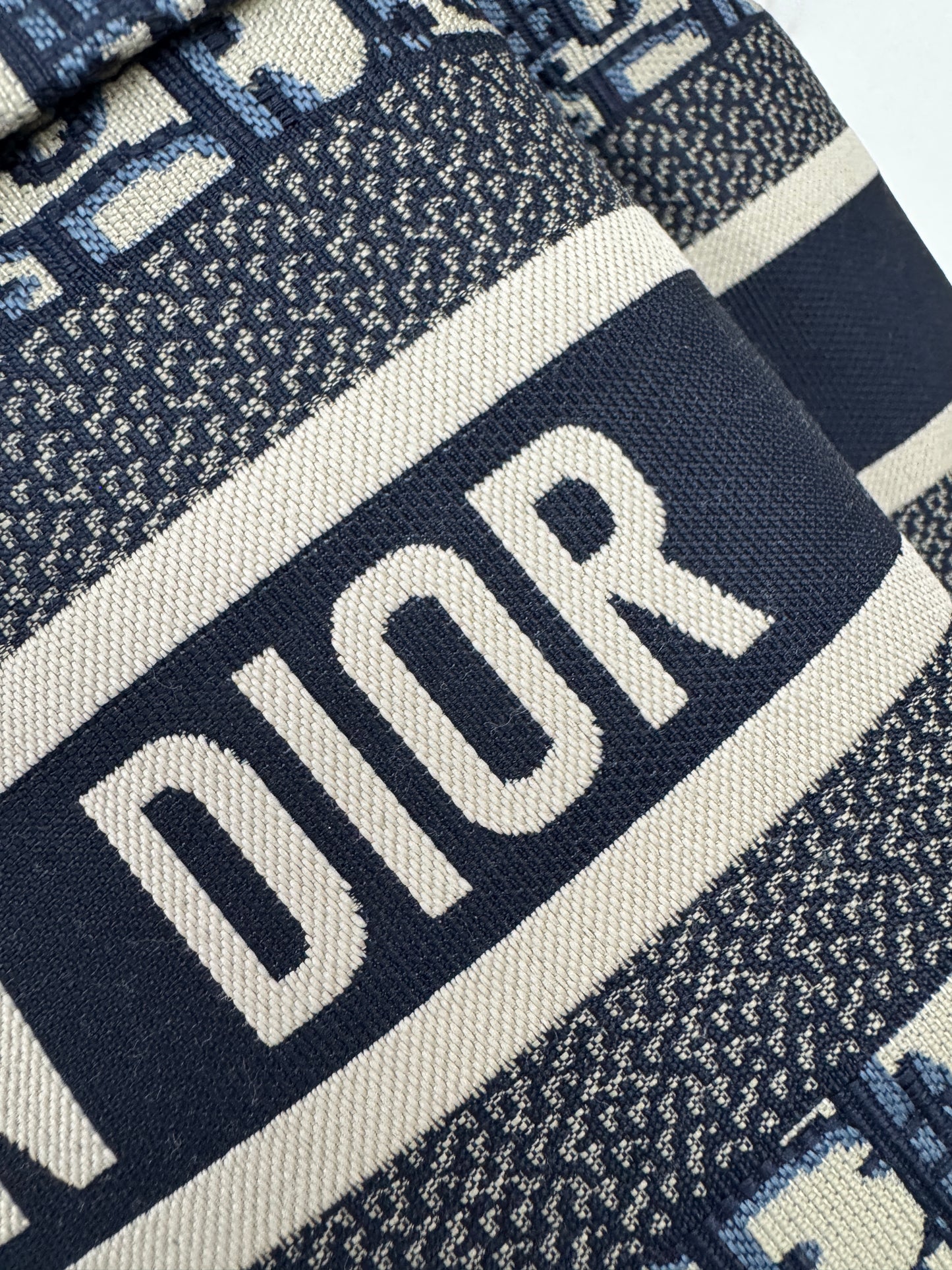 DIOR Diortravel Backpack