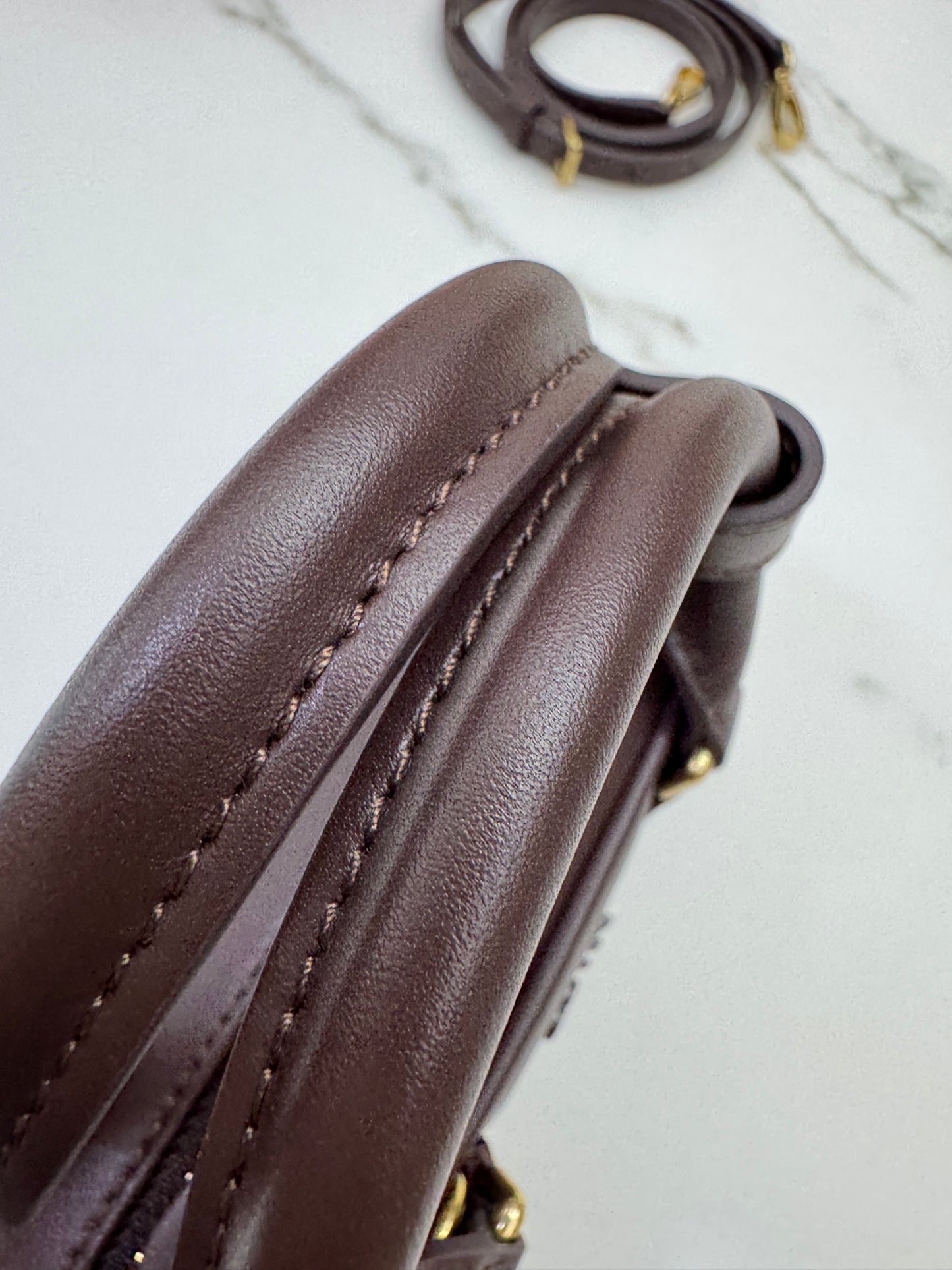 MIU MIU Acardie Regular 石楠木色