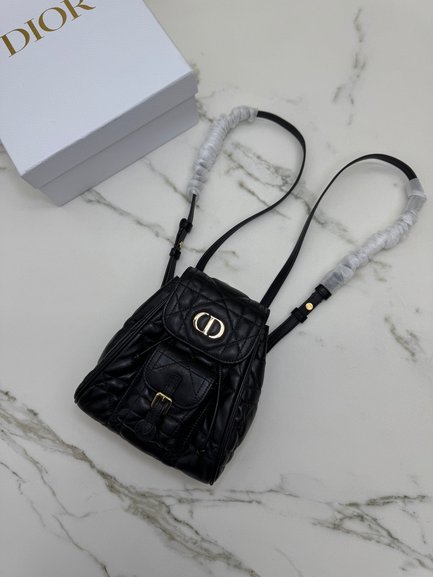 DIOR Caro Backpack Small