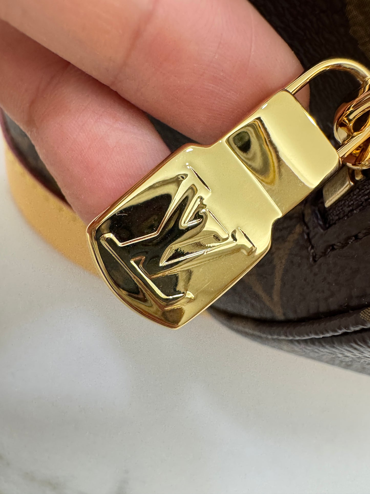 LV Montsouris Monogram PM