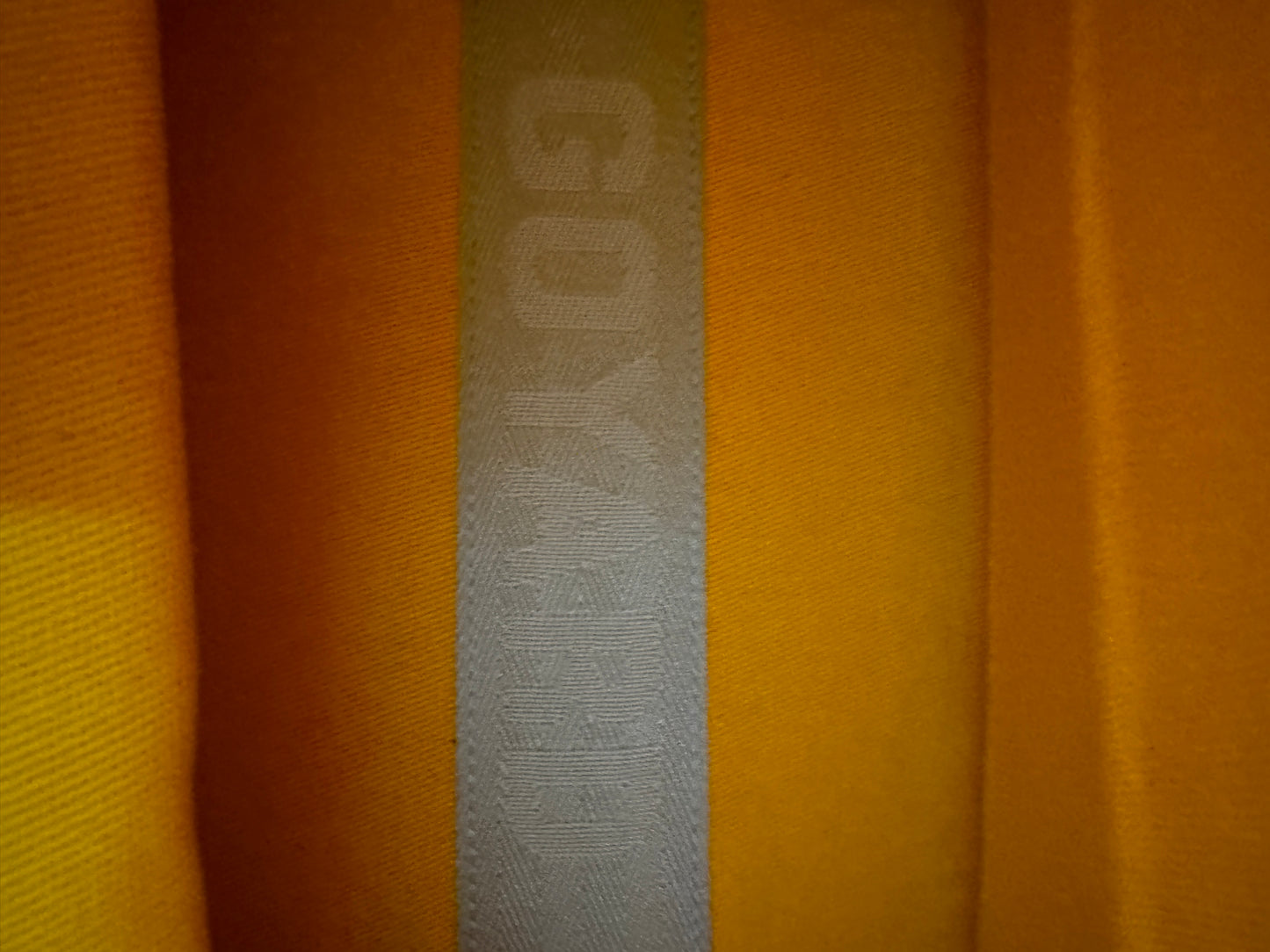 GOYARD Saint Leger 背包