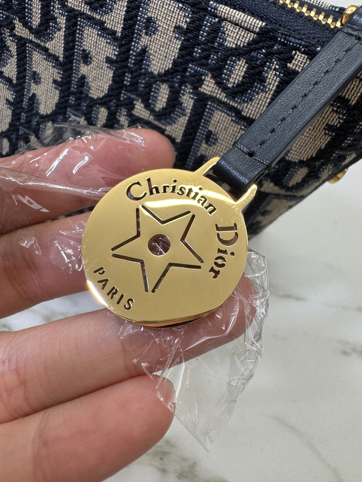 DIOR Diorstar Hobo 飯盒包