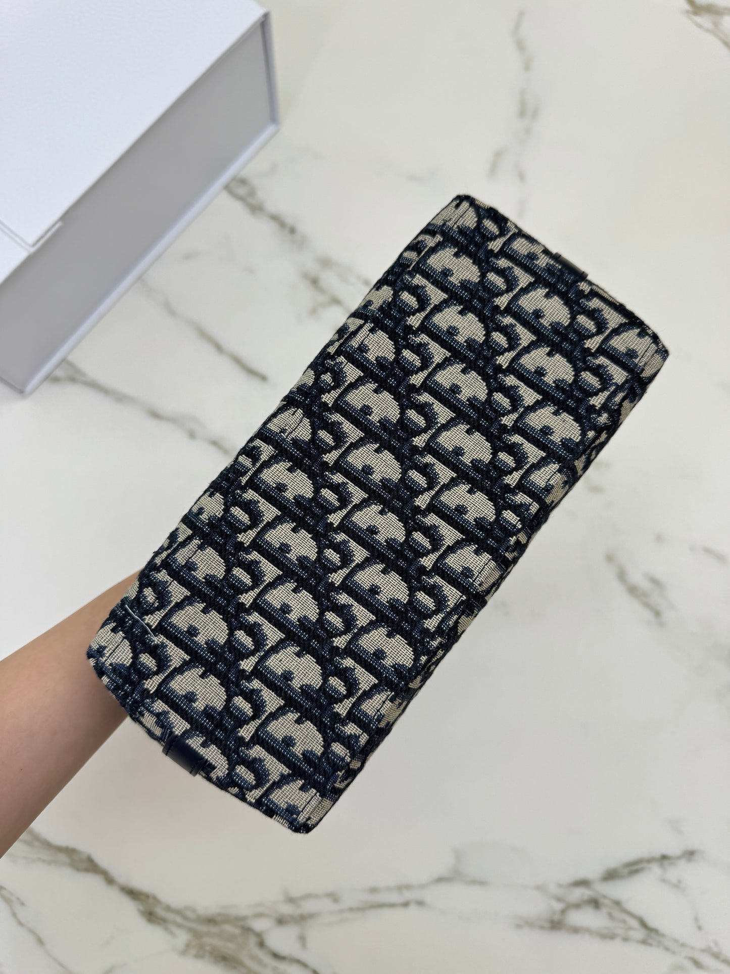 DIOR Diorstar Hobo 半月飯盒包