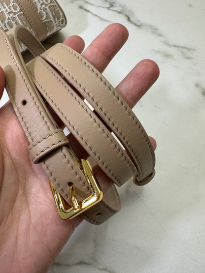 DIOR Groove Mini 奶茶色老花