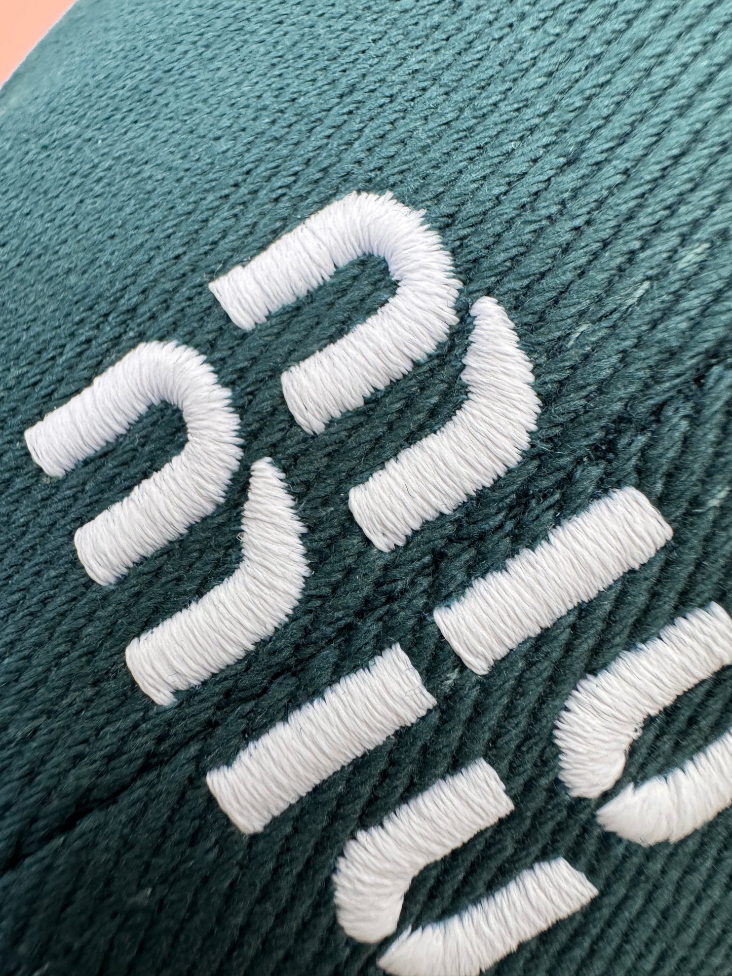 MIU MIU 軟頂鴨舌帽