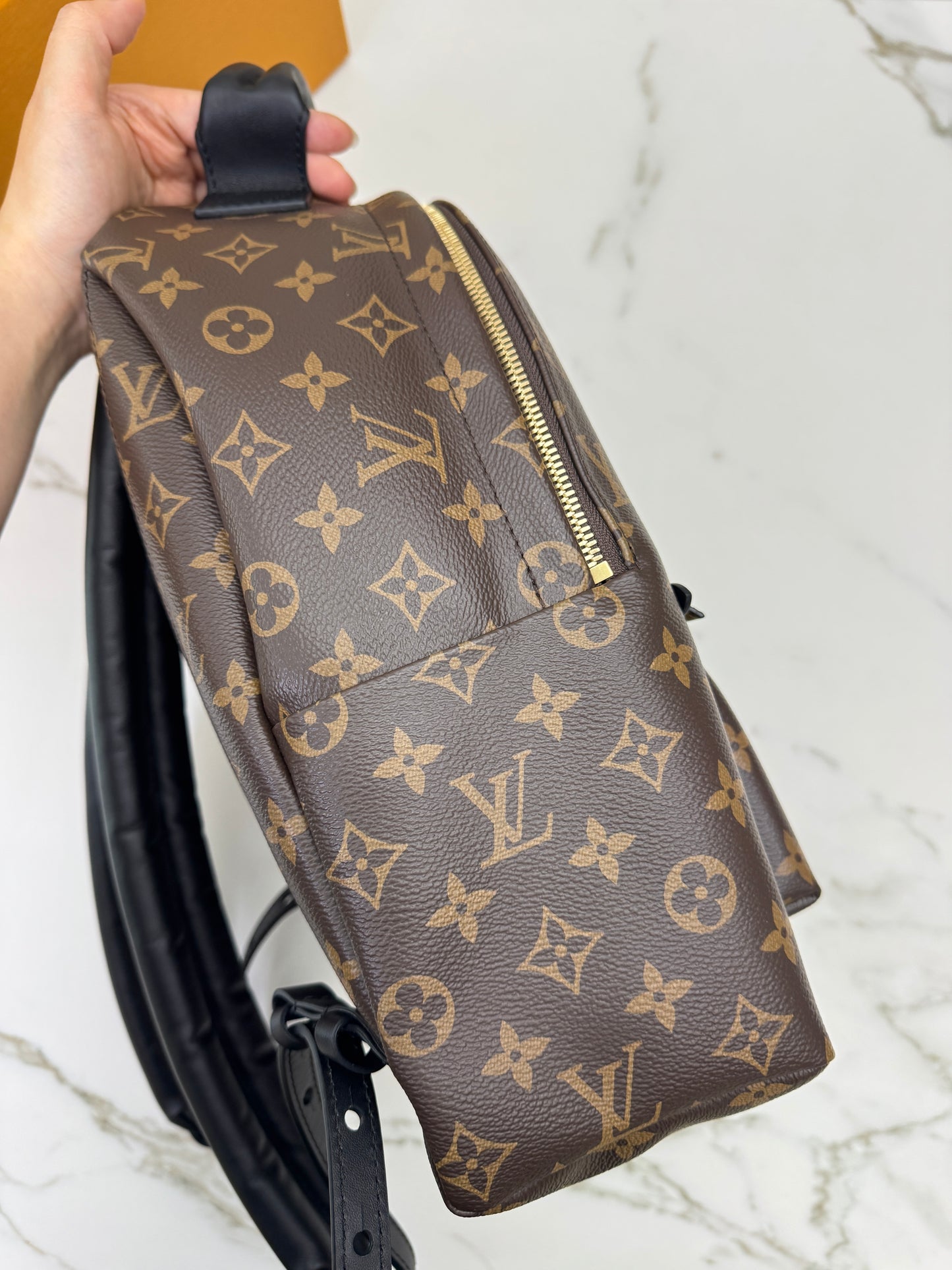 LV Palm Spring Backpack MM