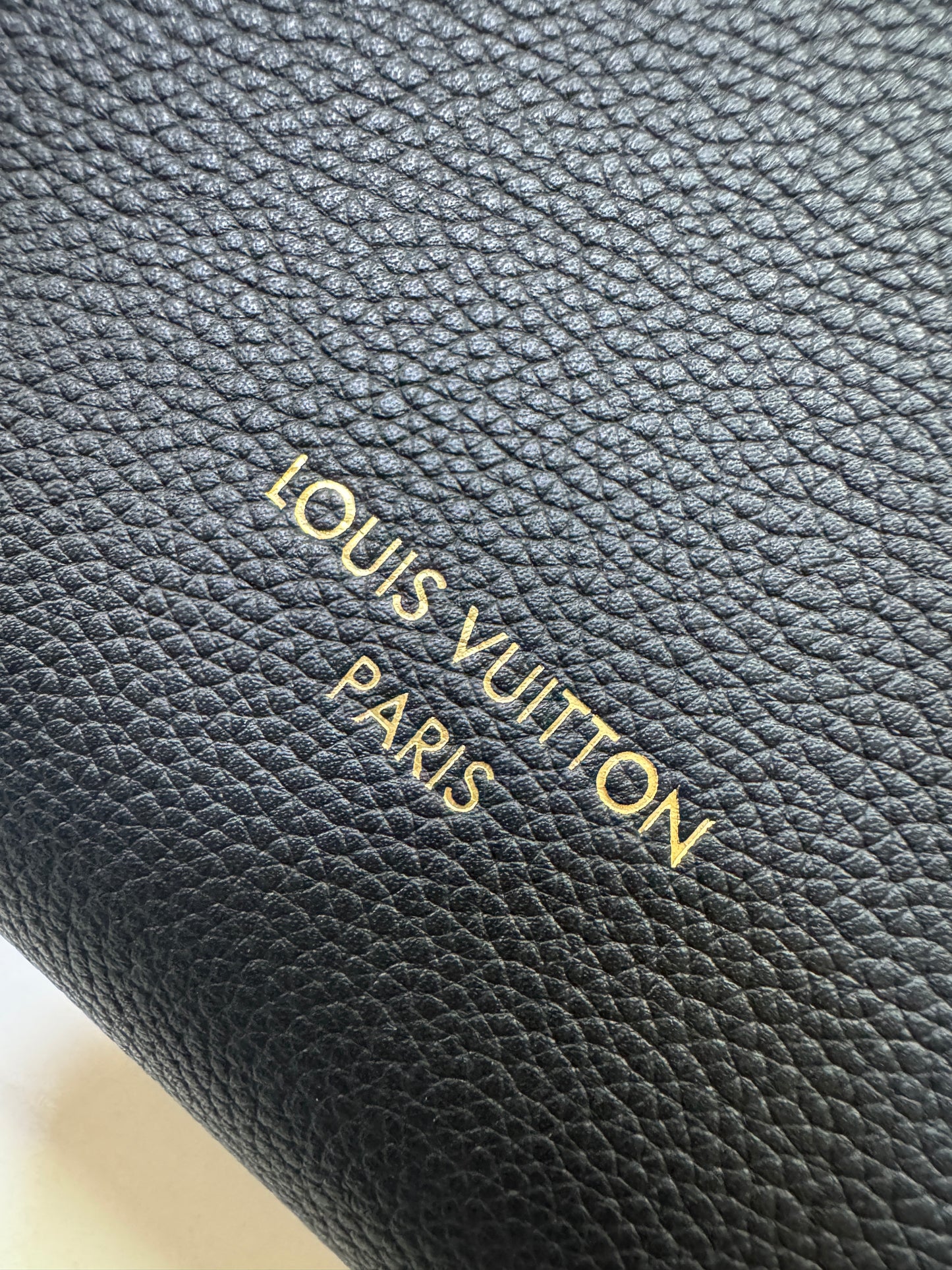 LV Low Key Hobo PM 黑色