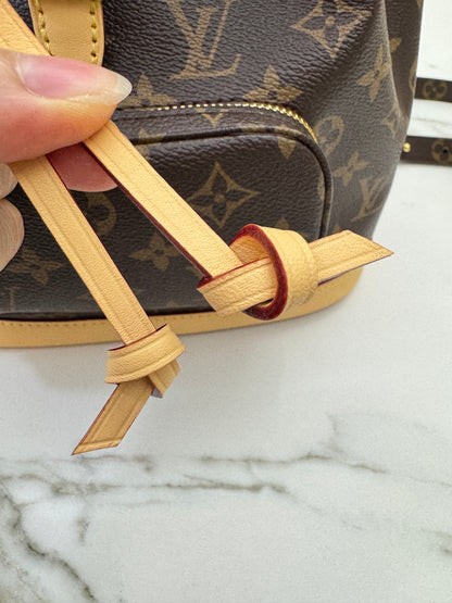 LV Montsouris Monogram PM