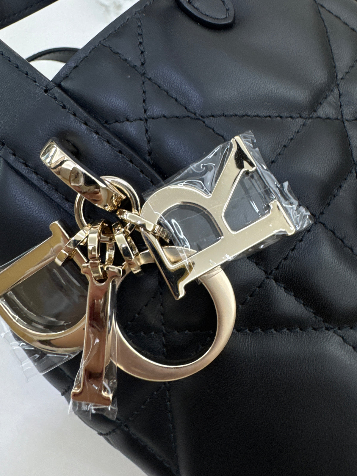 DIOR Toujours Vertical Small Black