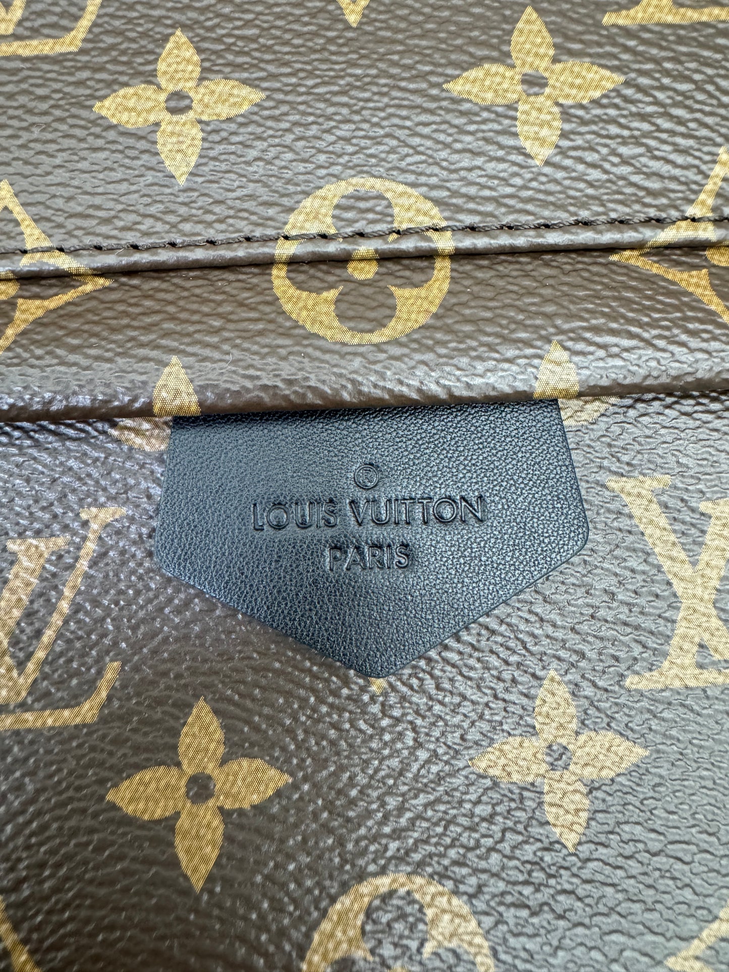 LV Palm Spring Backpack MM
