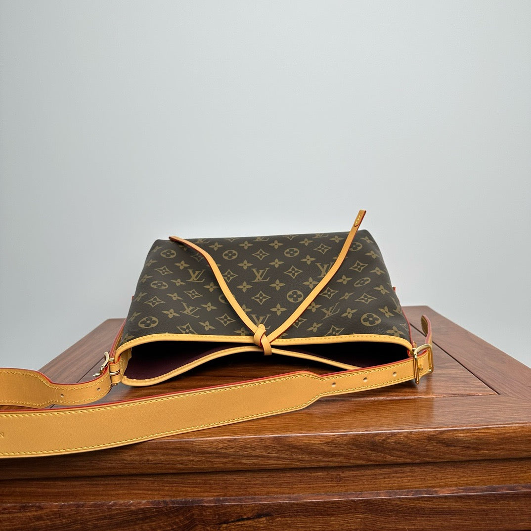 LV Carryall PM 老花小號