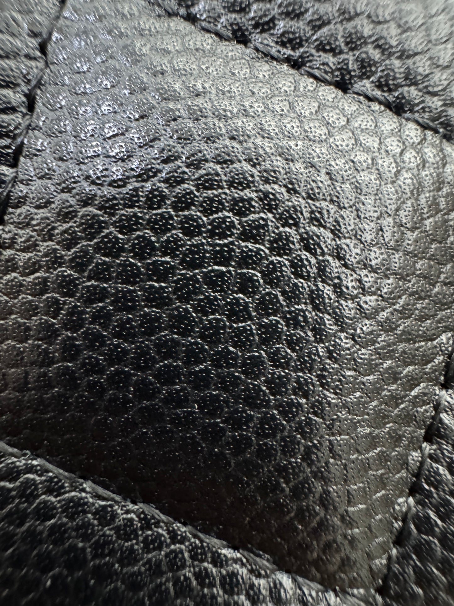 CHANEL Passport Holder 黑金牛 Black Caviar Calfskin