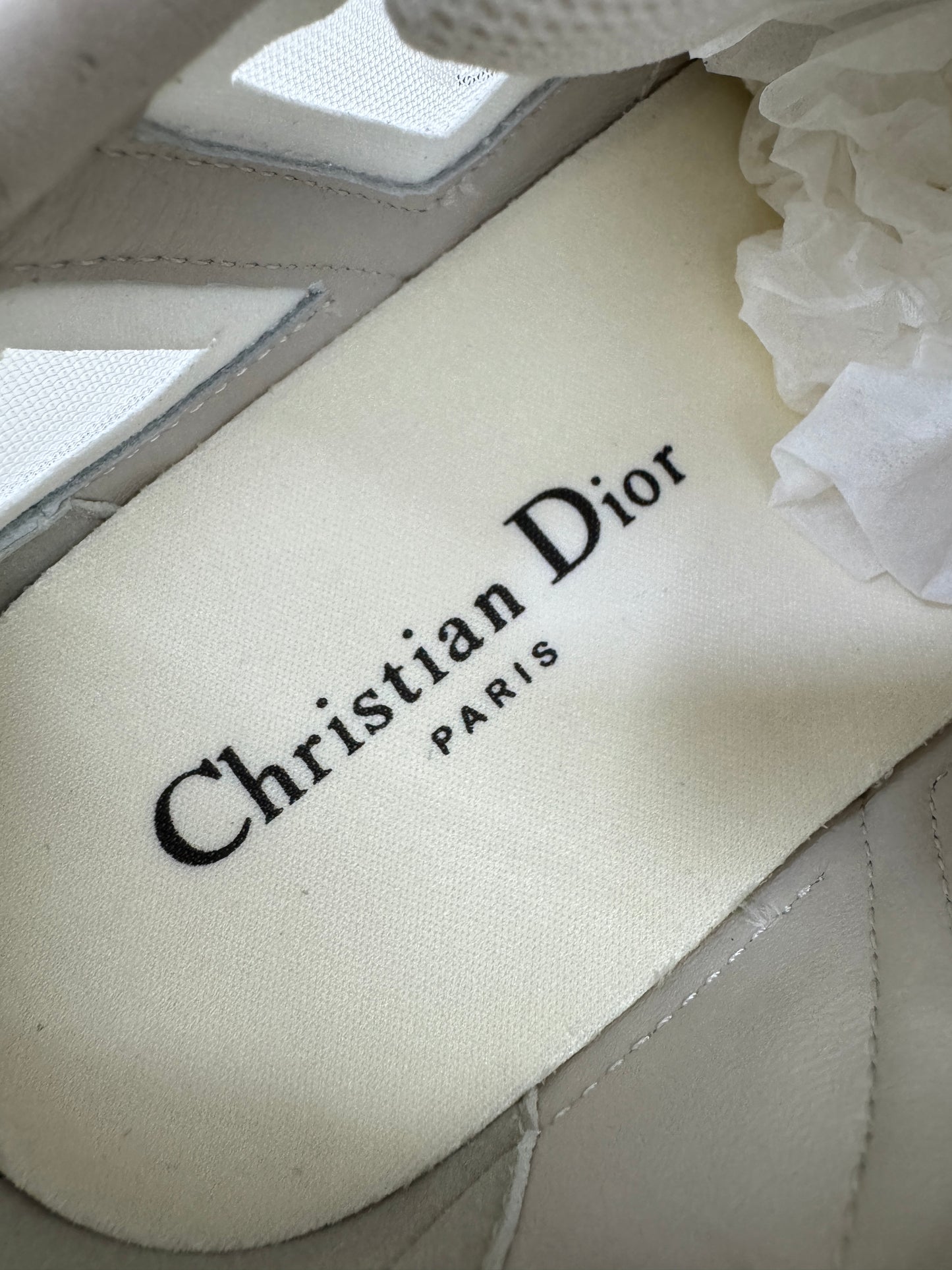 DIOR Tech 網紗運動鞋